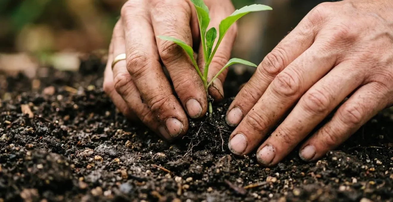 Close-up of hands planting young seedlings in rich organic soil with visible texture and earth tones
